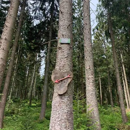 Appartement Family Miniglueck Sankt Englmar
